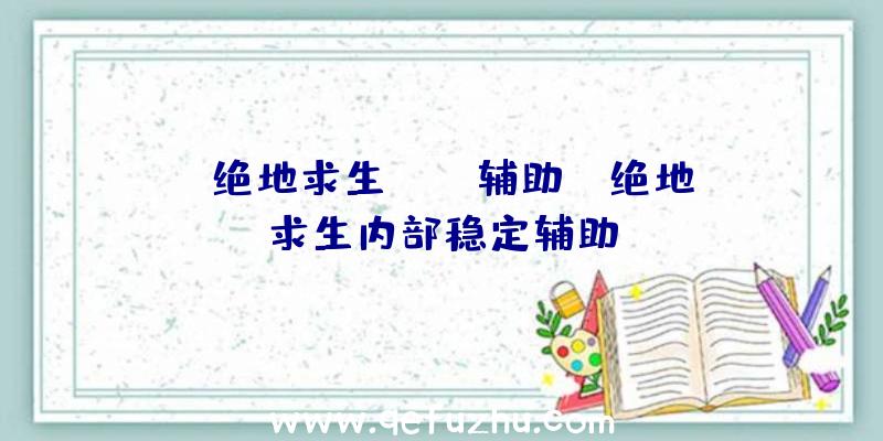 「绝地求生lord辅助」|绝地求生内部稳定辅助